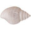 Блюдо "shell" pearl 41см-336-098
