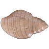 Блюдо "shell" sand 41см-336-087