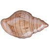 Блюдо "shell" sand 41см-336-087